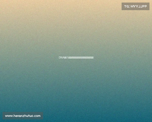 DNA篮球1赛事盛大开幕群雄逐鹿点燃激情共享荣耀时刻